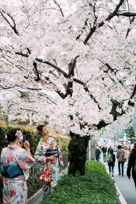 👘 A Day in Kyoto with a Kimono: Itinerary + Photo Spots