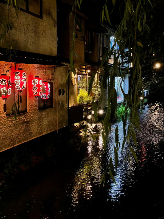 🌙 Kyoto After Dark: Discover the City’s Magic at Night