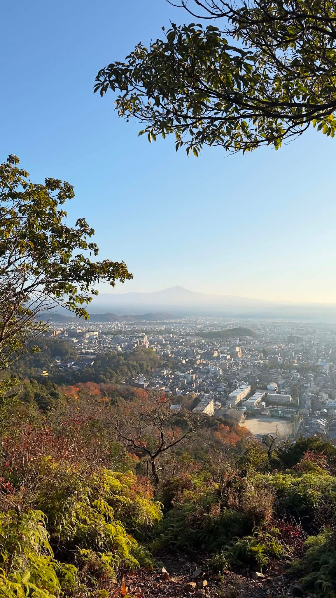 Morning Hike & Cycle through Hidden Kyoto