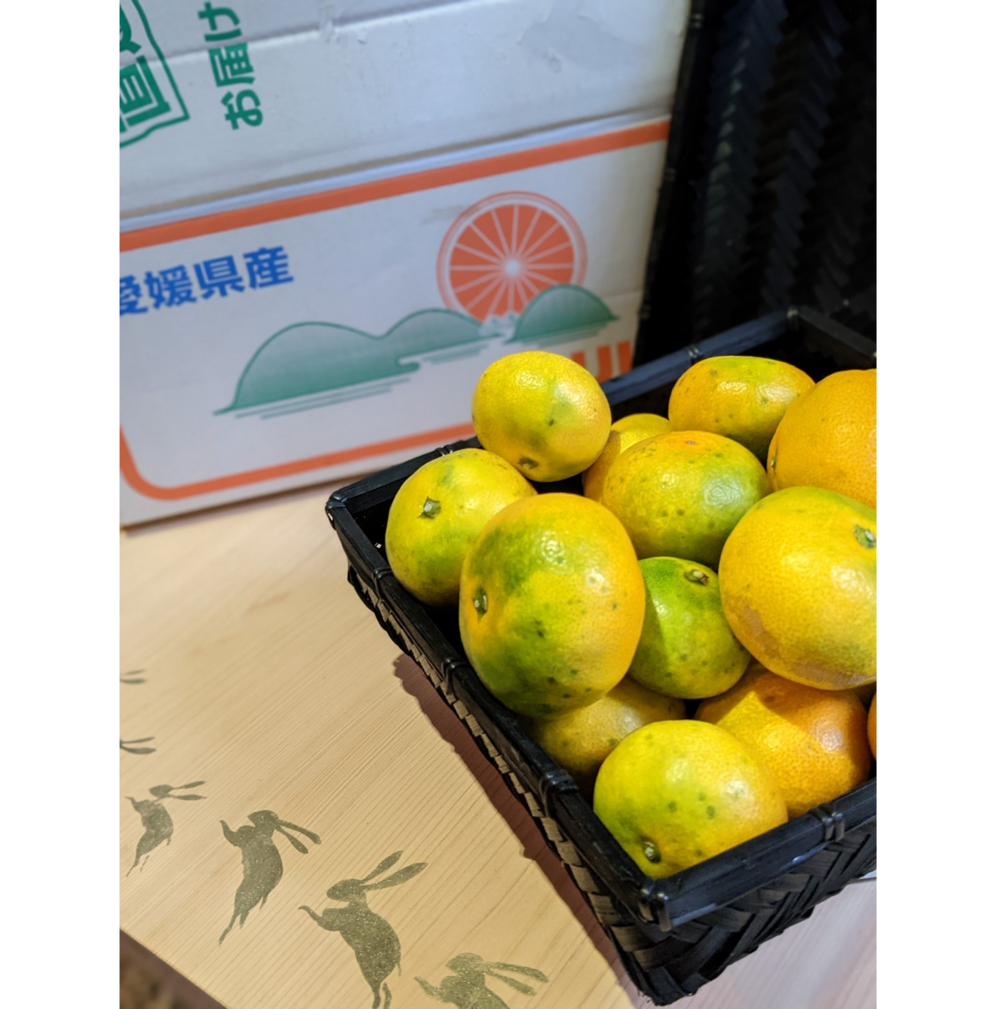 Premières mandarines (ville d'Uwajima, berceau des mandarines d'Ehime)