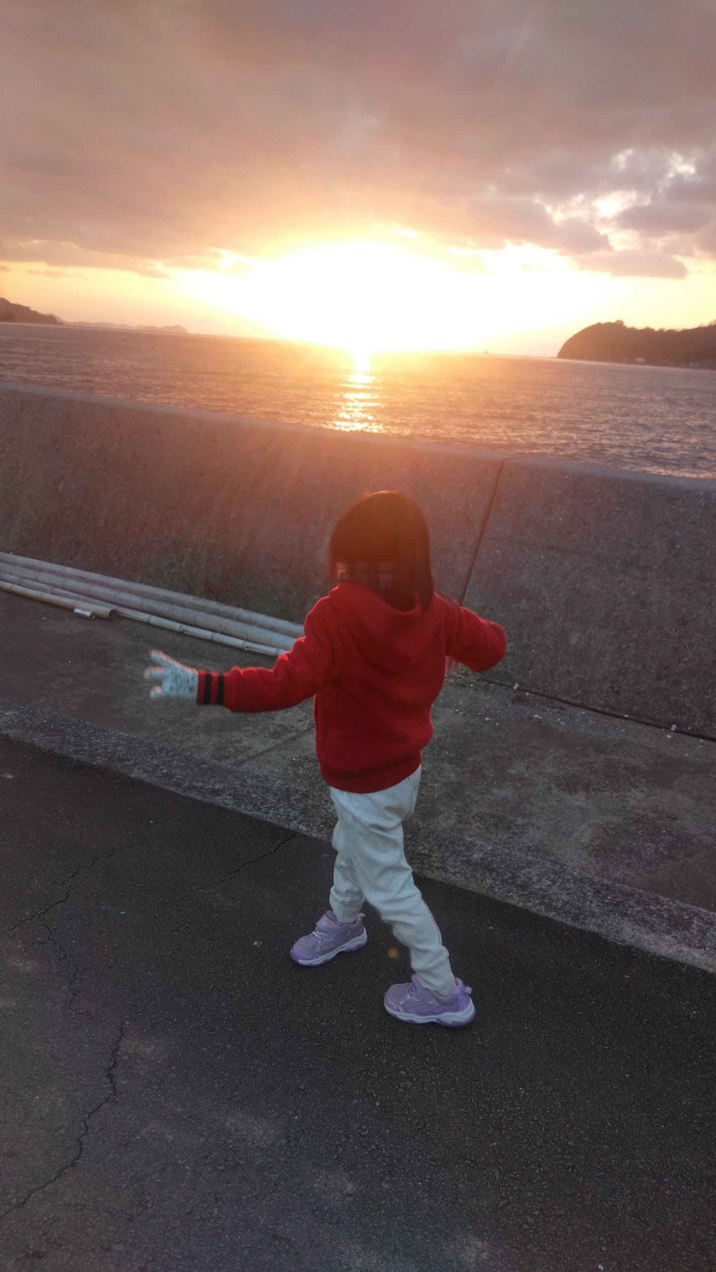 ミカンジュース産地直送 | 愛媛県宇和島市