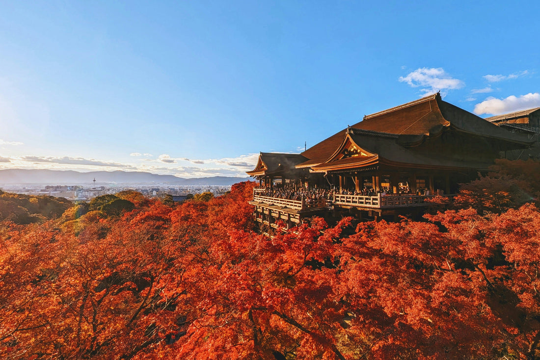 ❄️ Kyoto’s Early Winter: The Season of Quiet Light and Warmth