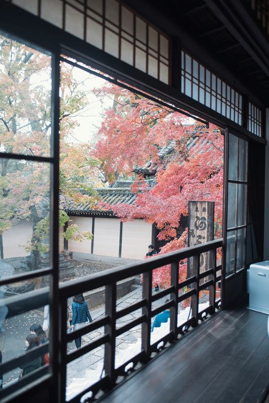 🍂 Seasonal Foods to Try in Kyoto: Autumn’s Best Flavors