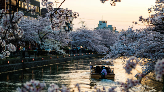 12 Breathtaking Kyoto World Heritage Sites You Shouldn't Miss