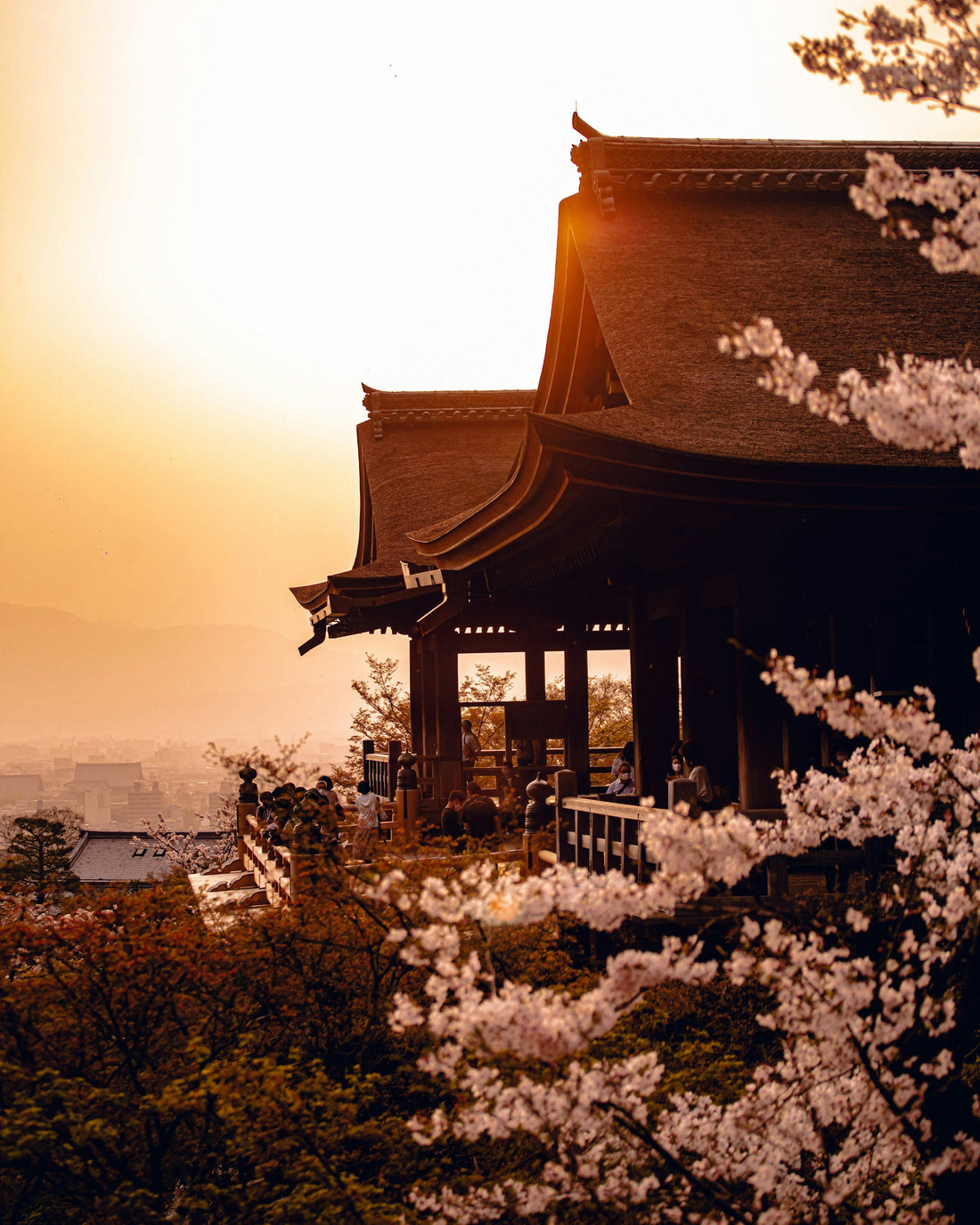 🗾 4 Best Cities to Visit Around Kyoto – Easy Day Trips You’ll Love