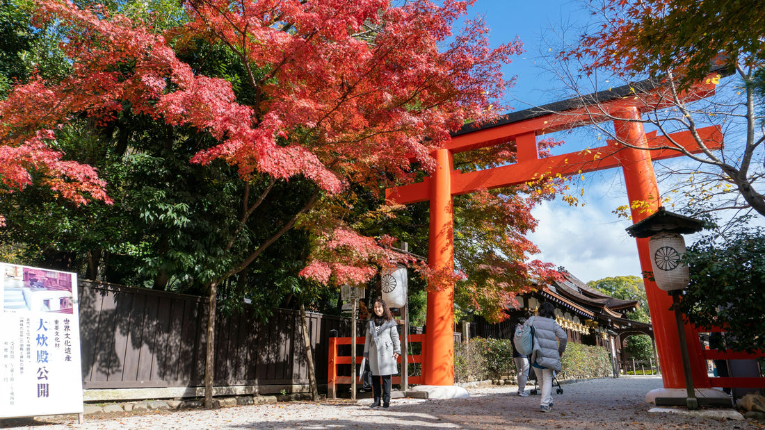 🍃 Listening to the Seasons: The Hidden Soundscape of Autumn in Kyoto