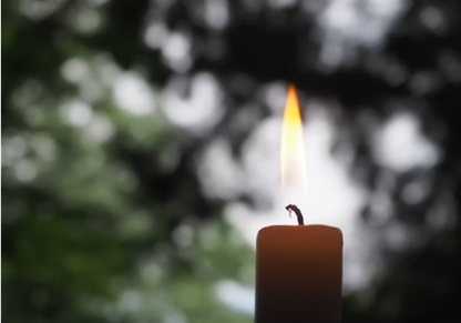 🕊️ Private Zazen Meditation in a Hidden Kyoto Temple