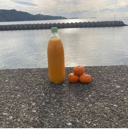 Orange Juice Directly from the source -Uwajima City, Ehime Prefecture-