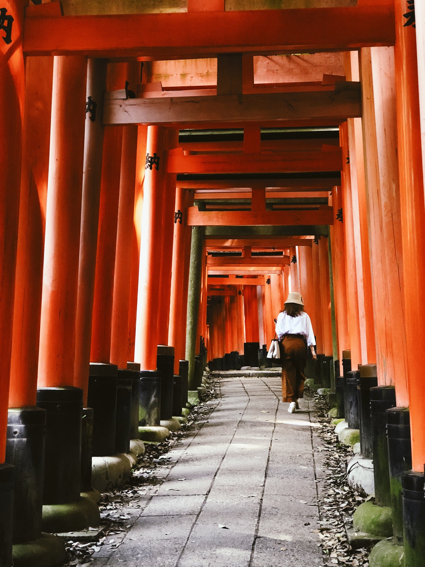 Customized Kyoto Day Tour